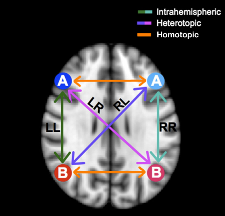 ../_images/vmhc_gee_schematic.png